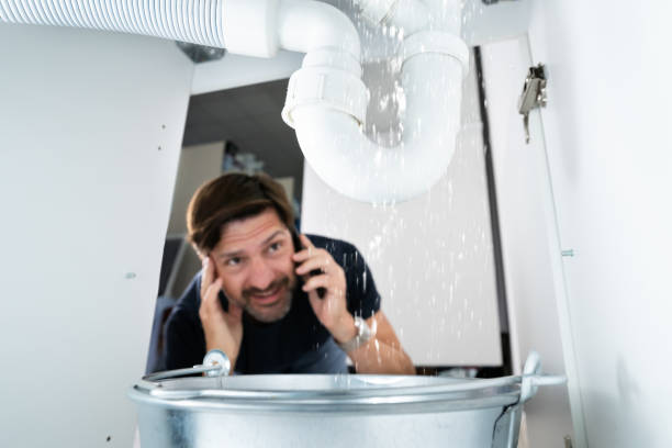 Best Sprinkler Systems  in Moreland, ID